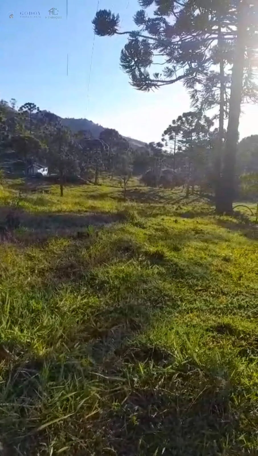 Imagem Sítio à venda com 16 hectares - Região do Rio Manos | Cunha - SP