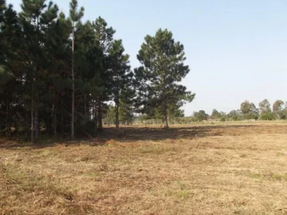 Imagem INVESTIDORES!!! Excelente área de 8 Hectares, frente RS040, Águas Claras