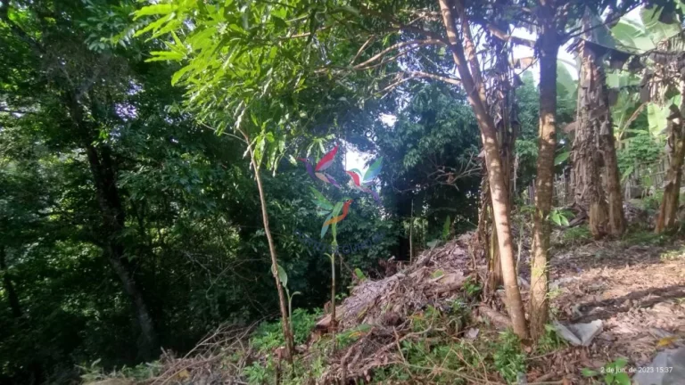 Imagem TERRENO NA CIDADE HISTÓRICA