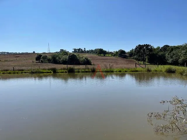 Imagem Chácara com 2,763 alqueires à venda na PALMEIRINHA em GUARAPUAVA - PR