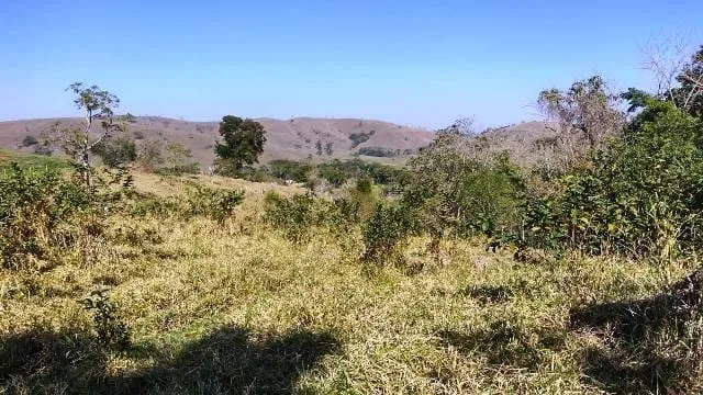 Imagem Chácara à venda, Borba, Pindamonhangaba, SP