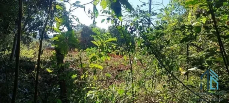 Imagem Chácara a venda, em Condomínio Bairro Santa Gema Colombo- PR