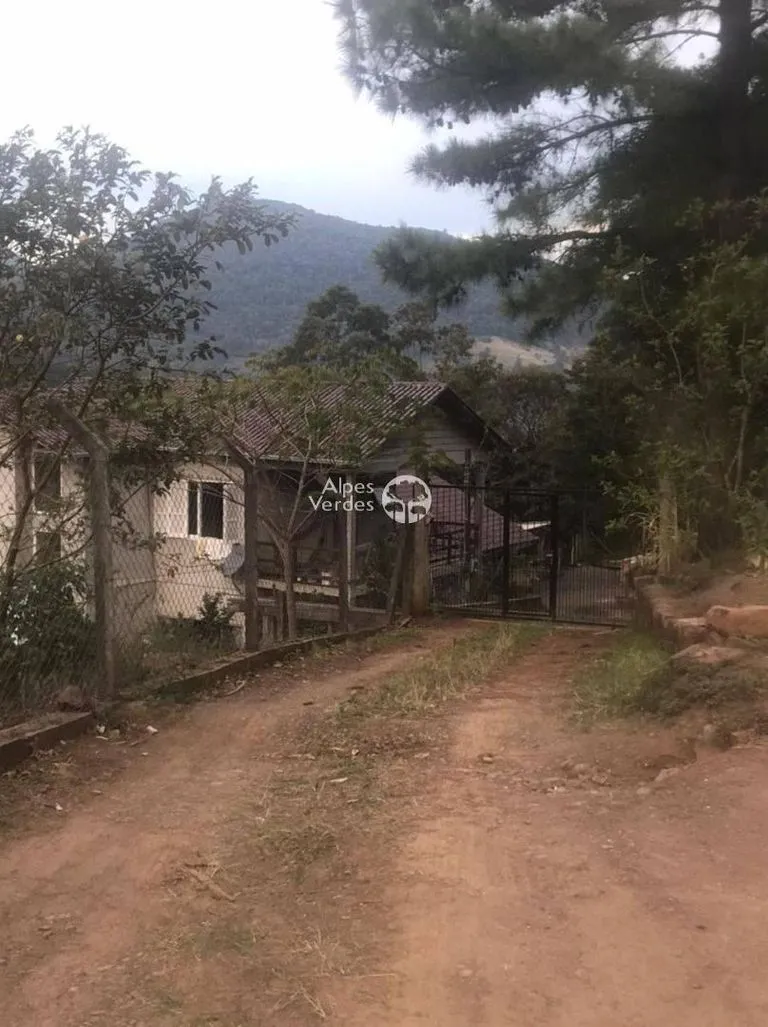 Imagem Sítio à Venda em Linha São Joao, Canela - RS