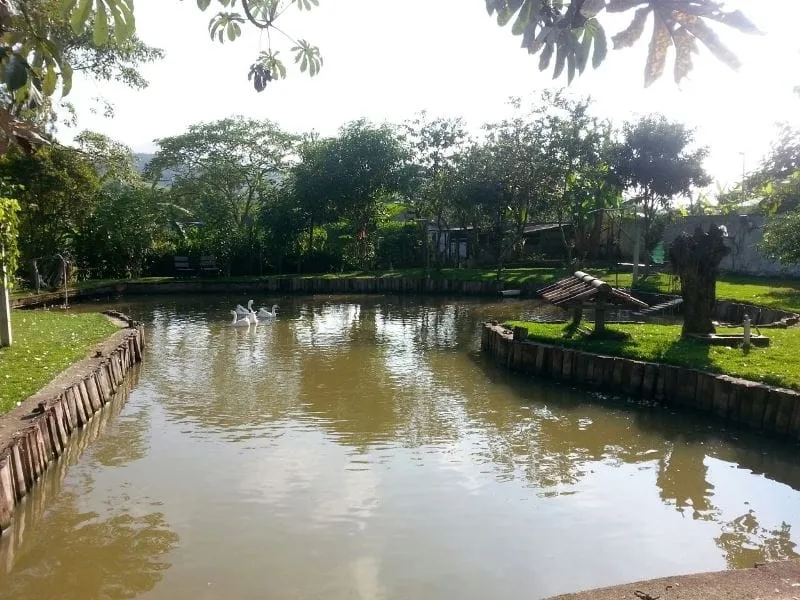 Imagem Chácara à venda 3 Quartos, 1 Suite, 4 Vagas, 5700M², Bom Sucesso, Pindamonhangaba - SP