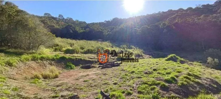 Imagem Sítio com 2 dormitórios à venda, 20000 m² por R$ 1.050.000,00 - Vargem - Vargem/SP