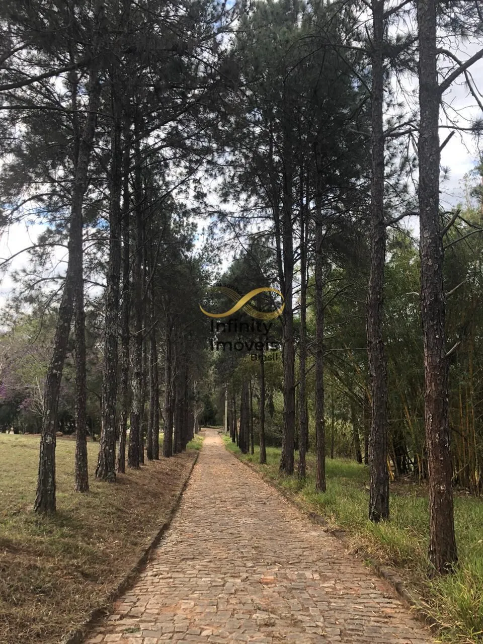Imagem Sítio à venda no bairro Satélite - Juatuba/MG