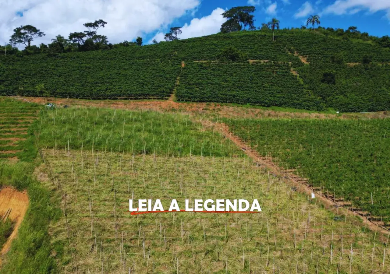 Imagem Imóvel