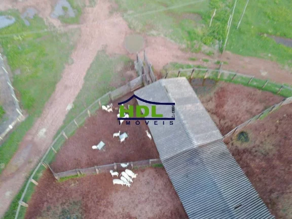 Imagem Fazenda especial 298 Alqs Cocalinho MT faz permuta prox a Goiânia