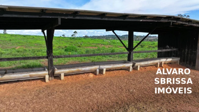 Imagem Vende/Permuta - Fazenda 390 Alqueires com Estrutura Completa a 120km de Porto Velho/RO