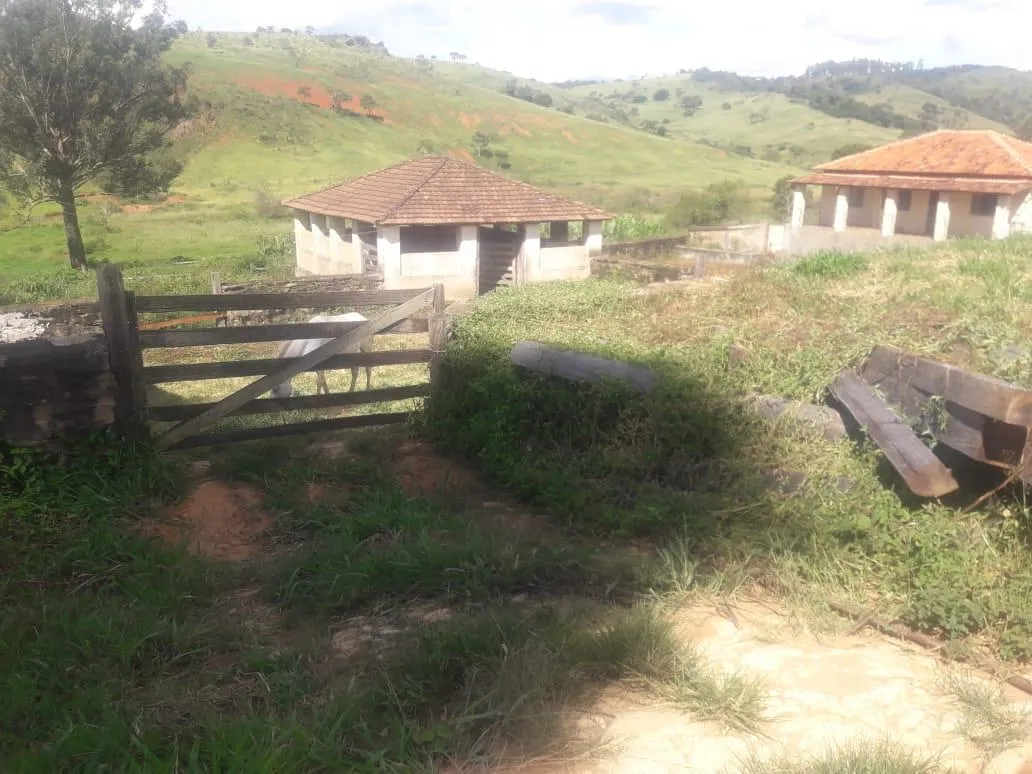 Imagem Vendo uma ótima fazenda em Passatempo 315 hectares