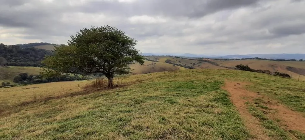 Imagem Chácara à venda 1300000M², Centro, São Lourenço - MG