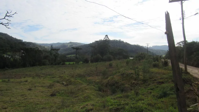 Imagem Área Agrícola para Venda em Ipumirim, Centro
