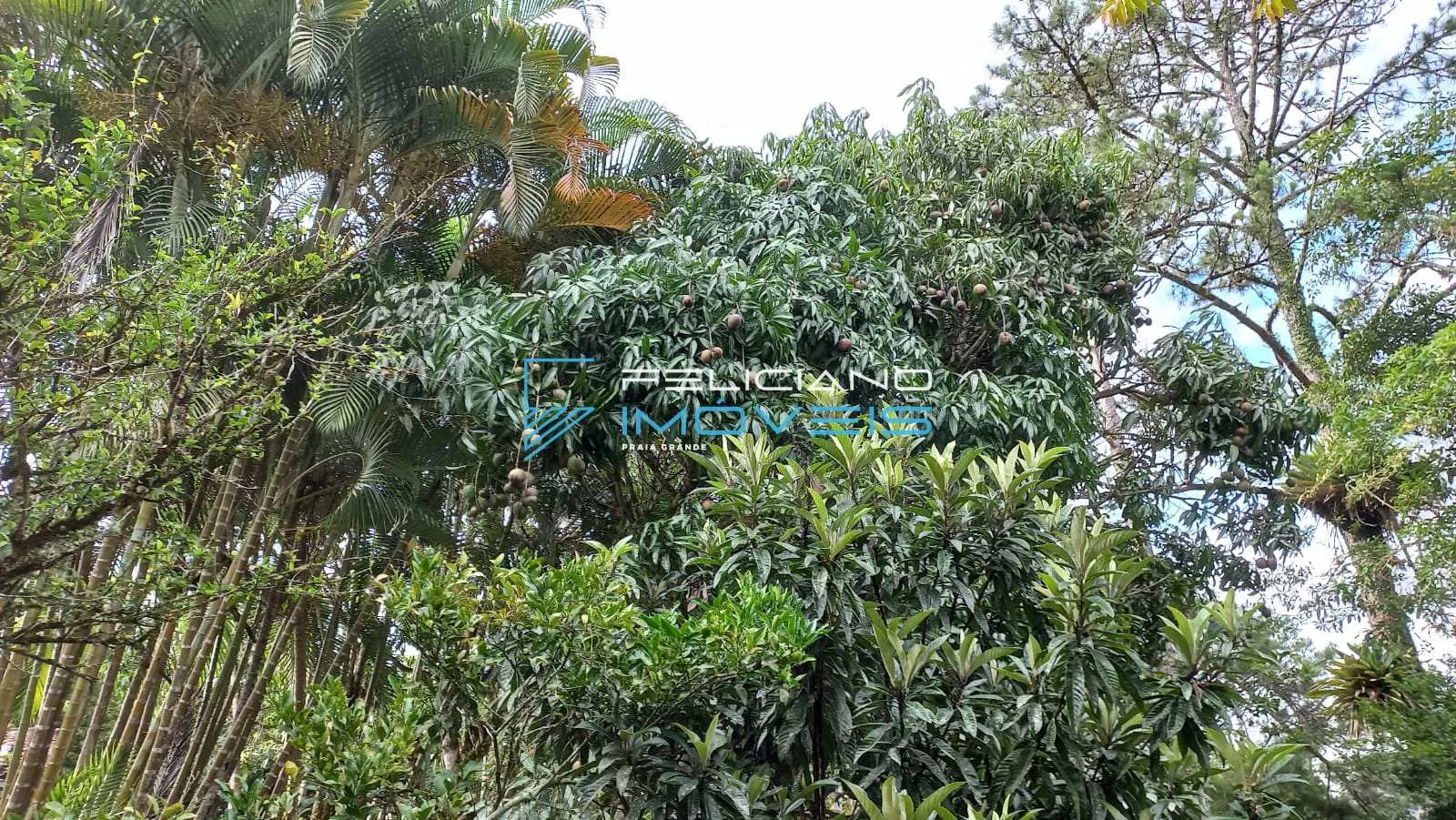 Imagem Chácara com 3 quartos, sitio, Pedro de Toledo - R$ 430 mil, Cod: 5655