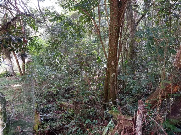 Imagem Lindos terrenos (2), belíssima mata nativa, privativo, Águas Claras