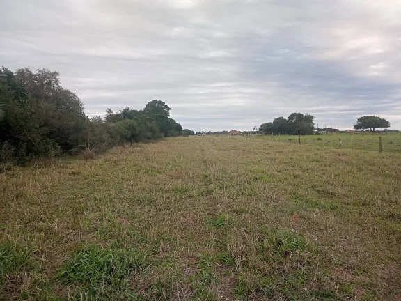 Imagem EXCELENTE LOGÍSTICA!!! Sitio de 2 Hectares com Casa, Boa Vista, Viamão