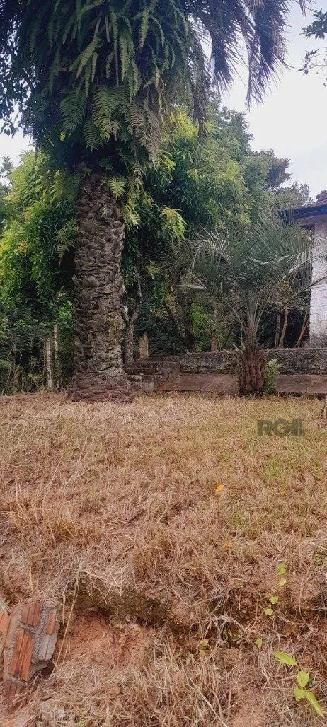 Imagem Terreno em Belém Novo