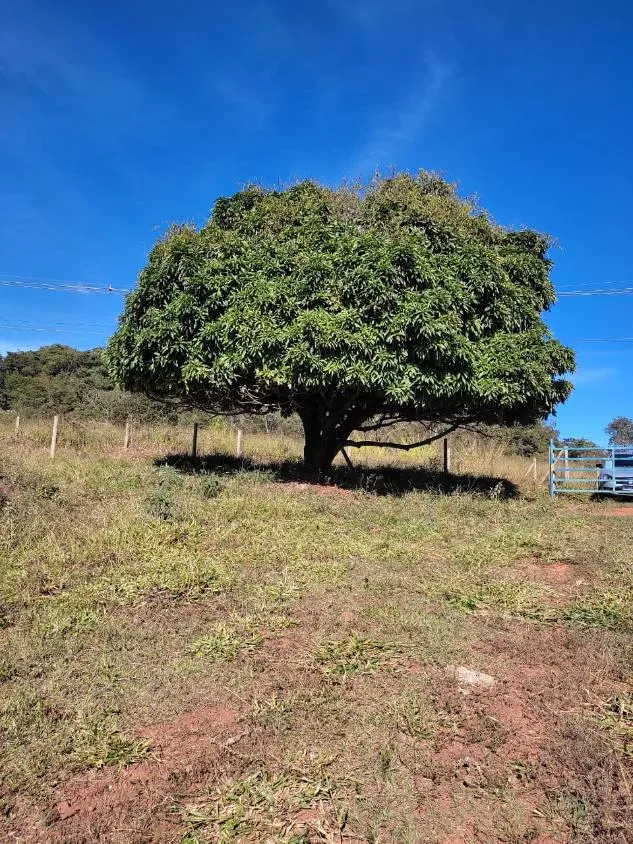 Imagem FAZENDINHA À VENDA - RIO MANSO (MG) 43 hectares de terra