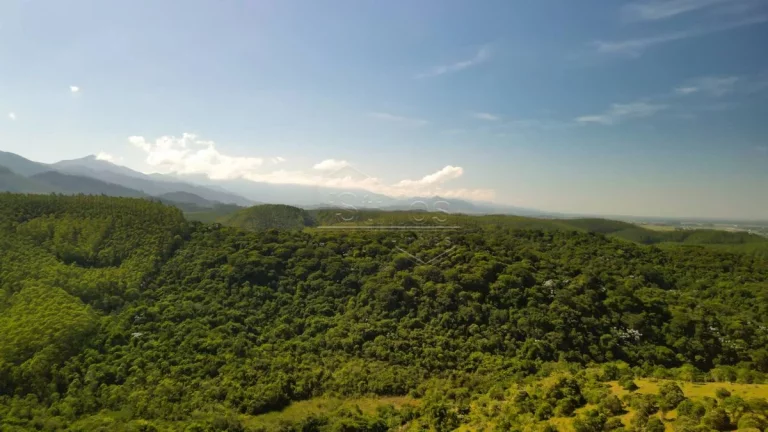 Imagem Oportunidade de Terrenos na serra