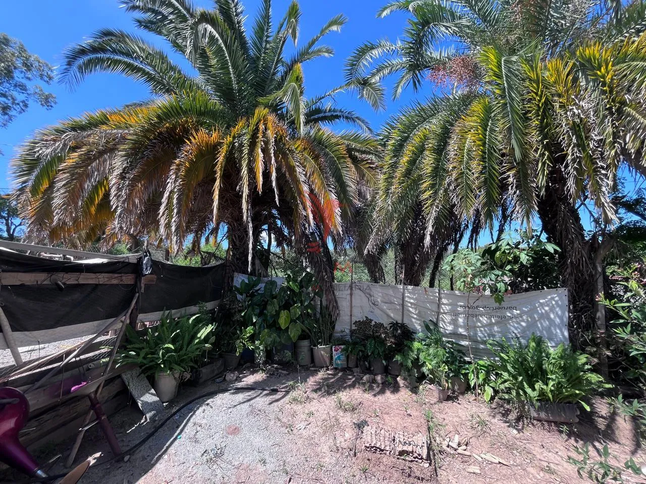 Imagem Sítio com 8.000 metros a venda em Araçariguama, no bairro Ella