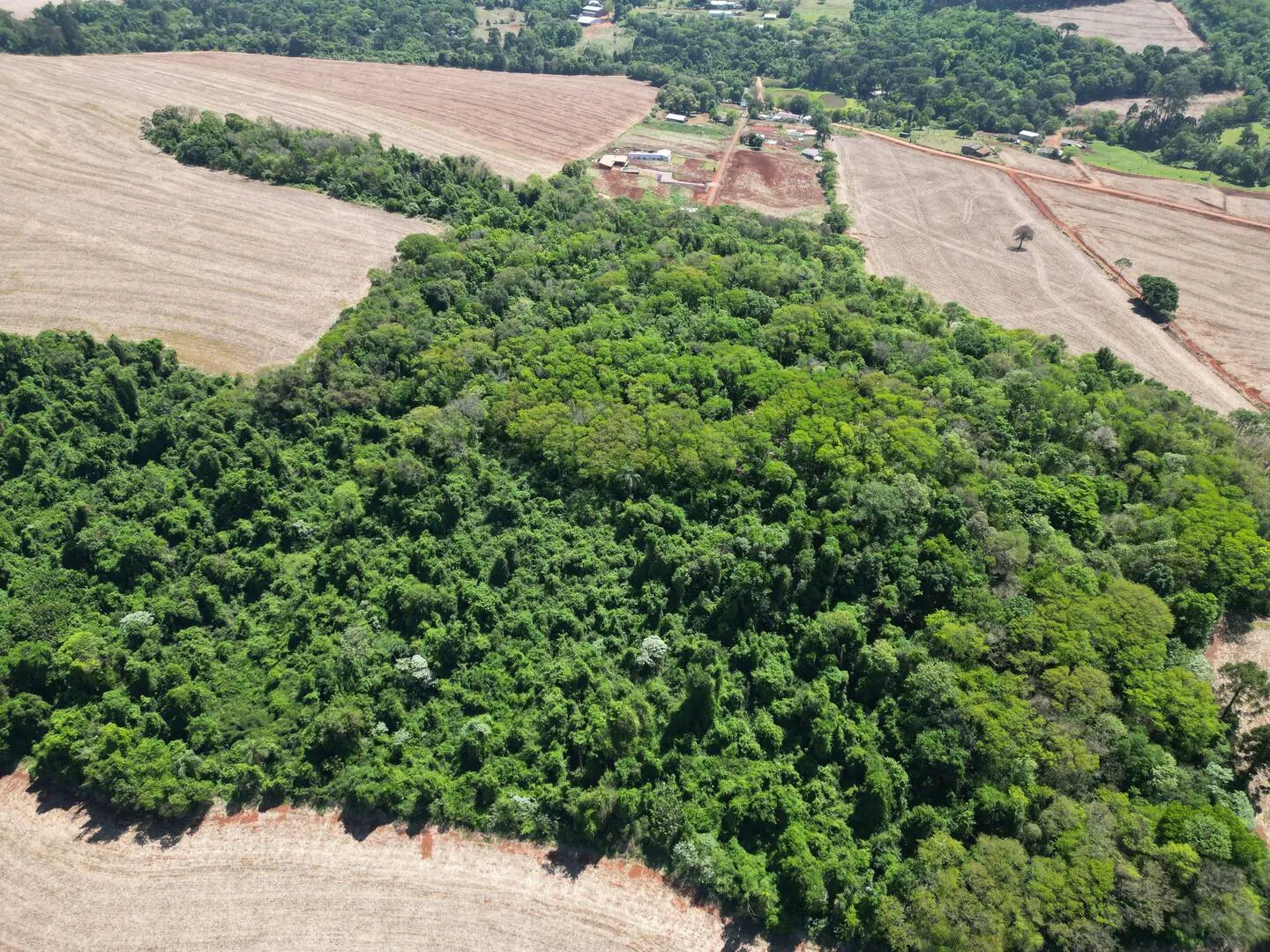Imagem Chácara a venda em Cascavel, com 2,0992 hectare cada uma e matrícula indiviauais.