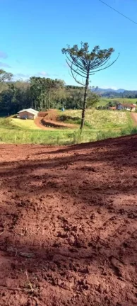 Imagem Terreno para Venda em Concórdia, Interior
