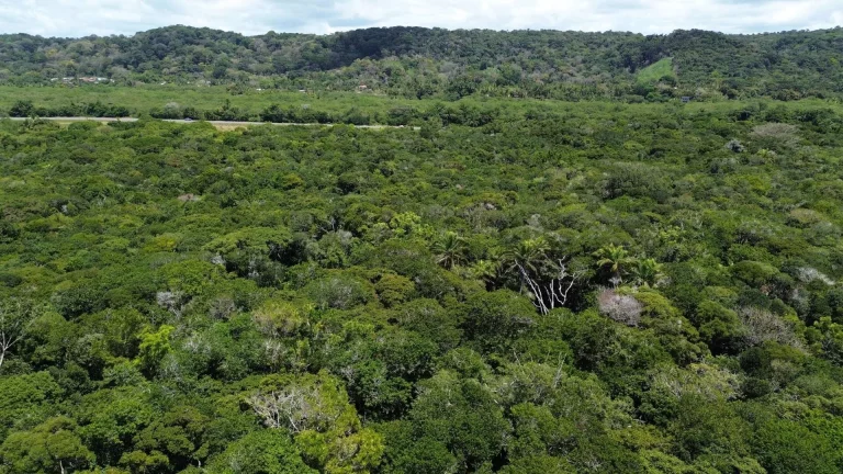 Imagem FAZENDA BEIRA MAR E MATA ATLANTICA