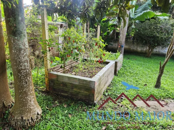 Imagem Seu Refúgio na Natureza em Suzano Com Piscina e Permuta por Imóvel no ABC