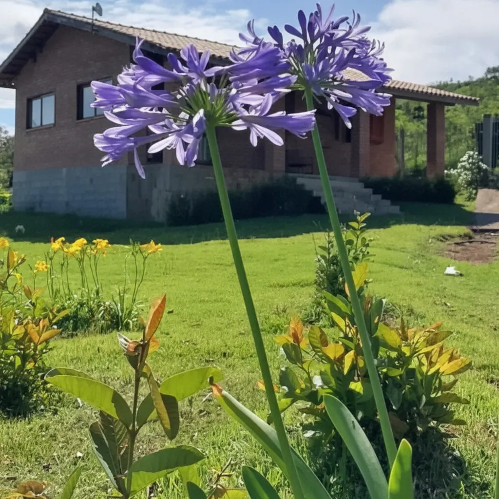Chácara 60 m² à venda em Tamanduá, Andradas