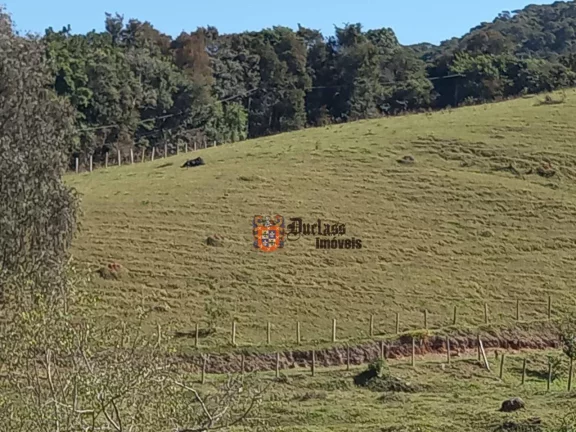 Imagem Sítio com 3 dormitórios à venda, 41000 m² por R$ 1.380.000,00 - Joanópolis - Joanópolis/SP