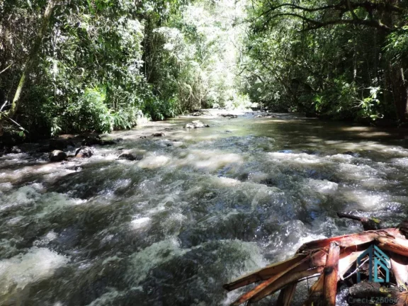Imagem Área a venda 125 mil m², em ótima localização, próximo novo Autódromo Internacional Chapecó SC