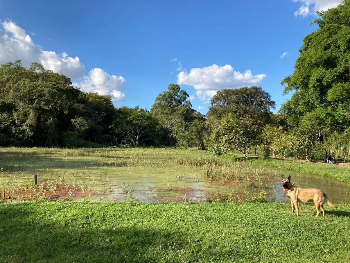 Imagem Vendo lindo sítio/fazendinha com 27 hectares de terra, localizado próximo a Florestal/MG.