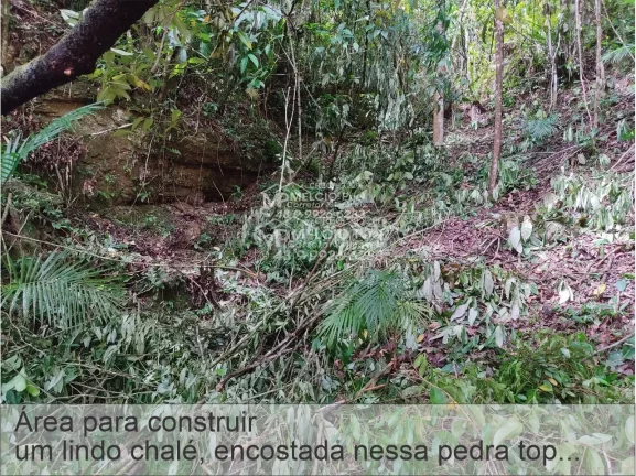 Imagem SÍTIO a VENDA, com 4.000m², com ESCRITURA, no bairro S. Valentim em Nova Trento. Com beira uma rio, de Nova Trento, podendo fazer trilha ecológica