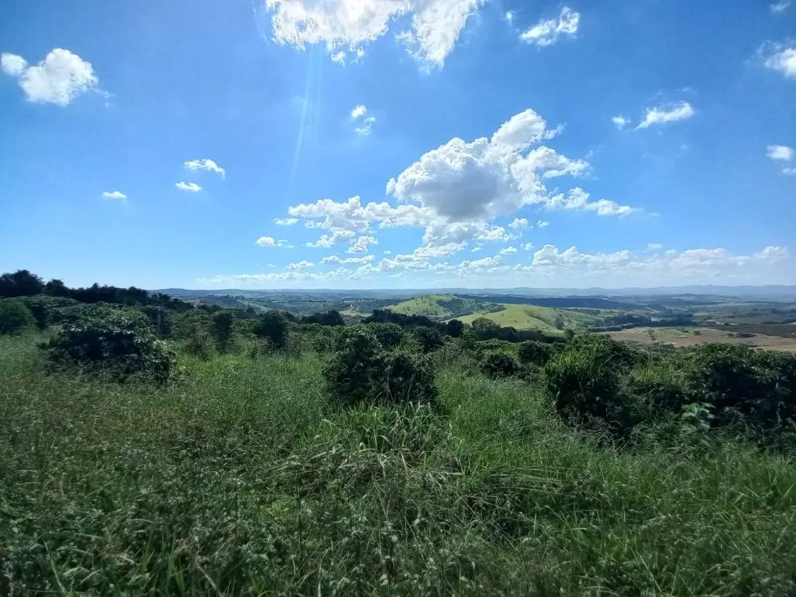 Imagem FAZENDA À VENDA - SANTO ANTÔNIO DO AMPARO (MG) 948 hectares de área total