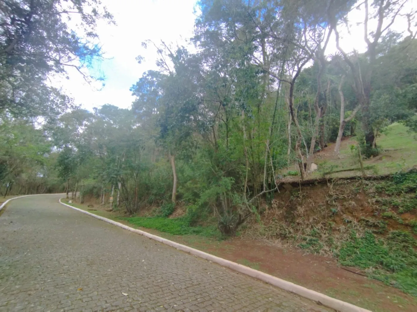 Imagem Terreno para Venda em Petrópolis / RJ no bairro Samambaia