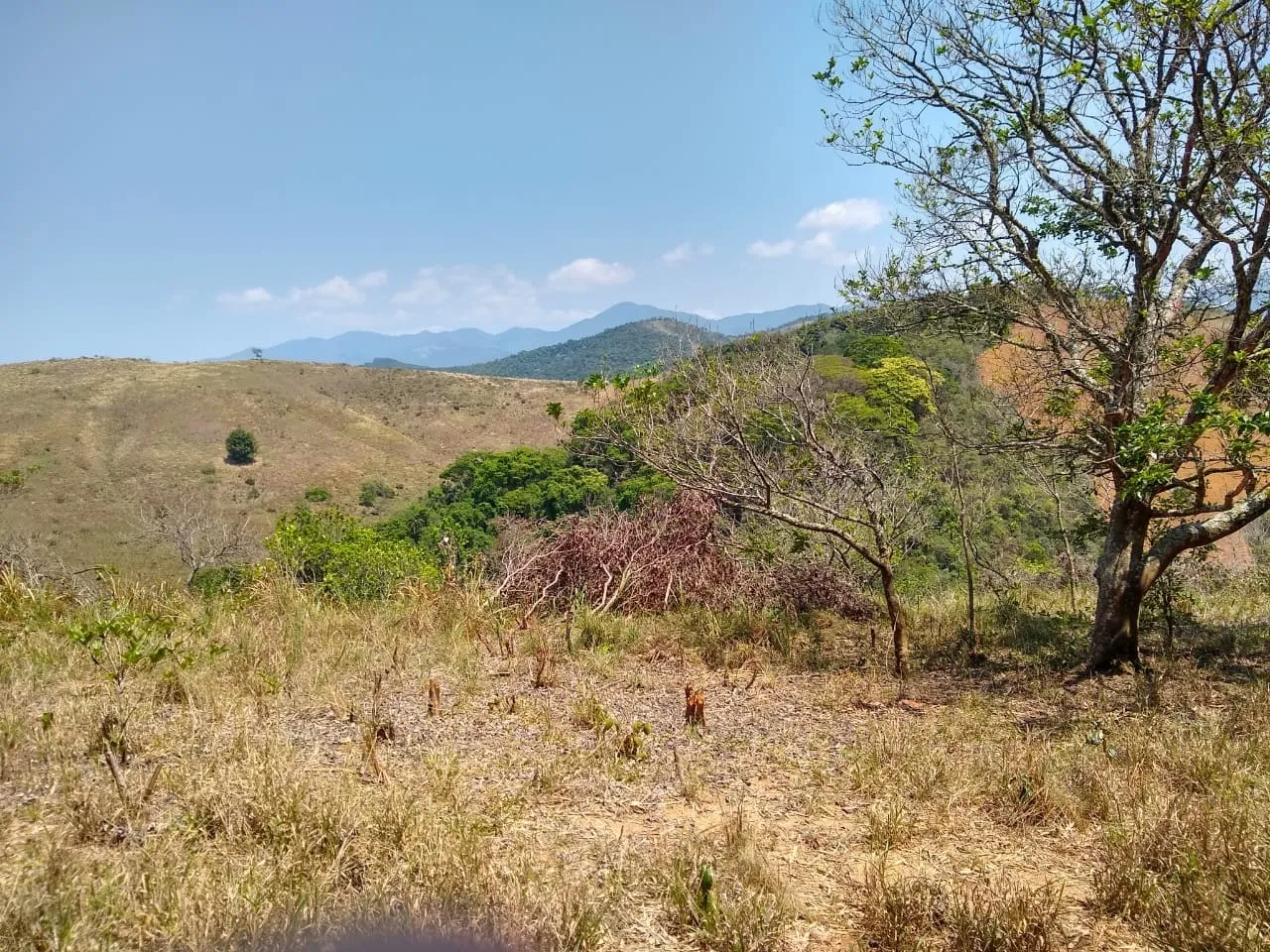 Imagem Chácara à venda 25000M², Mandú, Pindamonhangaba - SP
