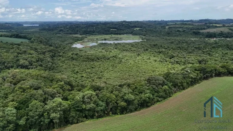 Imagem Área com 10 alqueires divisa com Rio Verde em Campo Largo - PR