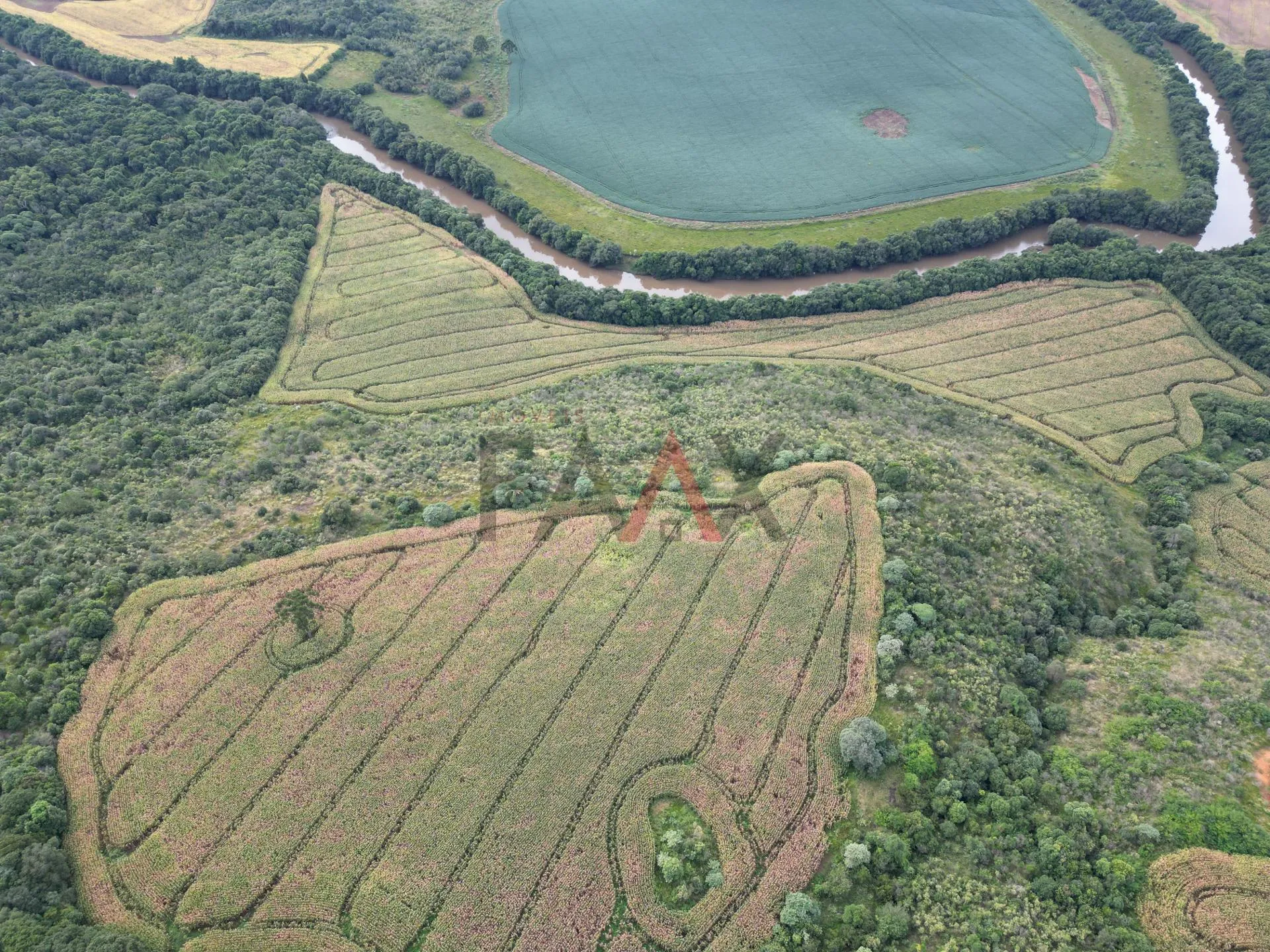 Imagem Chácara com 1.210.000,00m as margens da BR-277 em GUARAPUAVA - PR