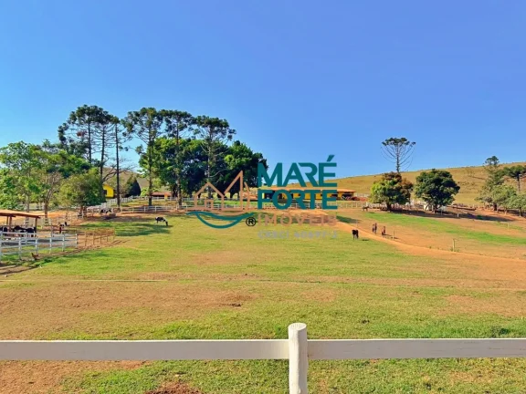 Imagem OPORTUNIDADE - LINDO HARAS A VENDA EM LAGOINHA SP