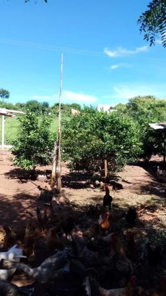 Imagem CHÁCARA A VENDA EM RIO PRETO