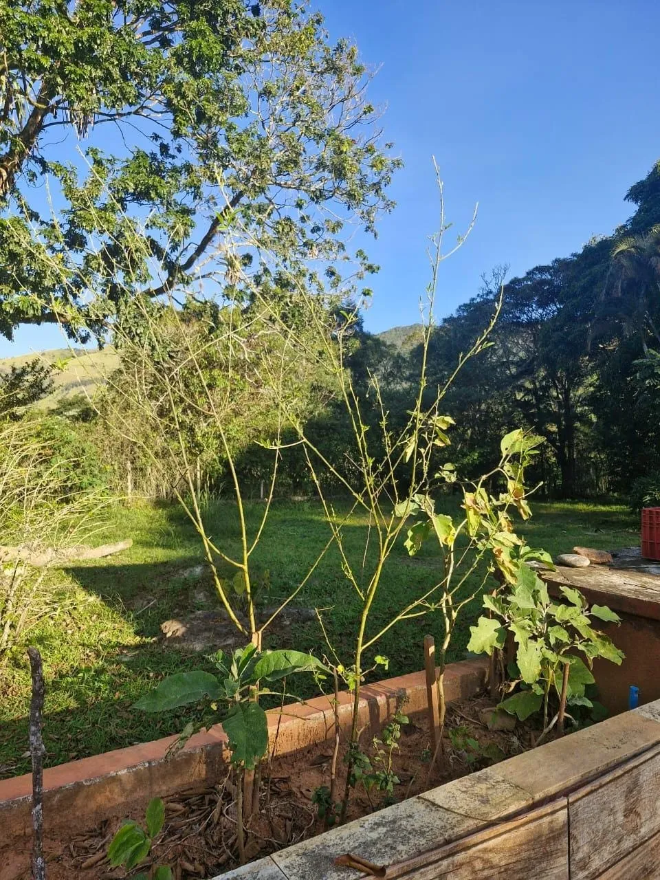 Imagem Sítio para locação, Ribeirão Grande, Pindamonhangaba, SP