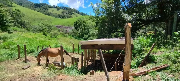 Imagem CHACARA 12.000 MTS - BAIRRO ANHUMAS - ITAJUBÁ - MG