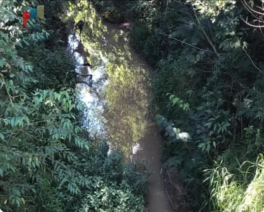 Imagem Fazenda região Itapetininga SP