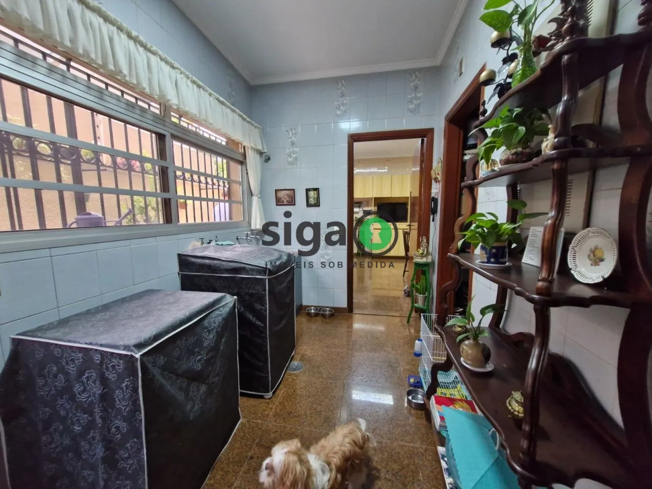 Imagem Casa de 5 dormitórios em condomínio no Real Parque