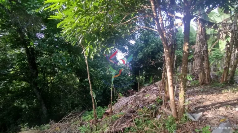 Imagem TERRENO NA CIDADE HISTÓRICA