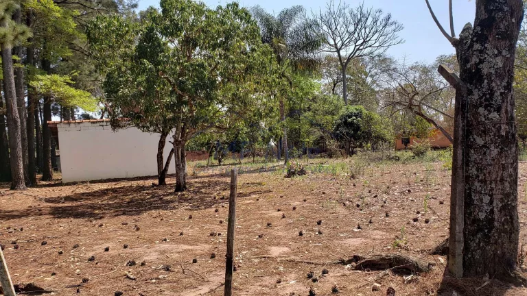 Imagem Terreno Padrão