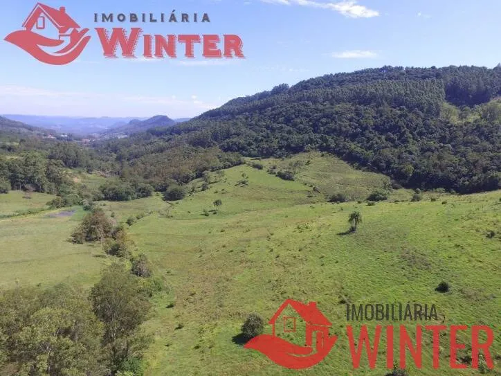 Imagem Fazenda de 61 hectares na cidade de Linha Nova.