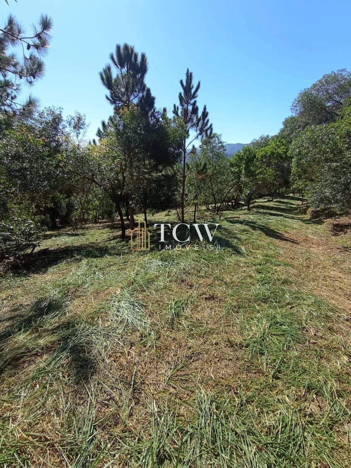 Imagem Terreno em Loteamento | 20.000m2 | ATIBAIA/SP