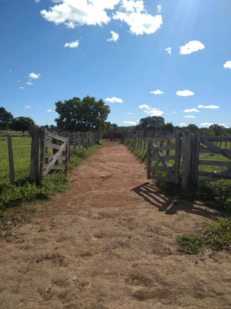 Imagem Fazenda de Rio Negro Mato Grosso do Sul-MS, Farms for sale in Brazil, farms in Brazil, Brazil farms