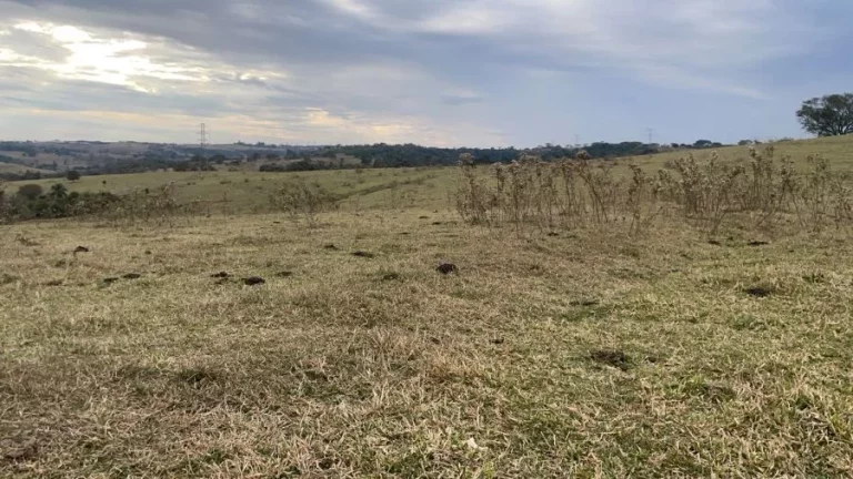 Imagem Fazenda à venda  Região Bauru/SP  235 alqueires