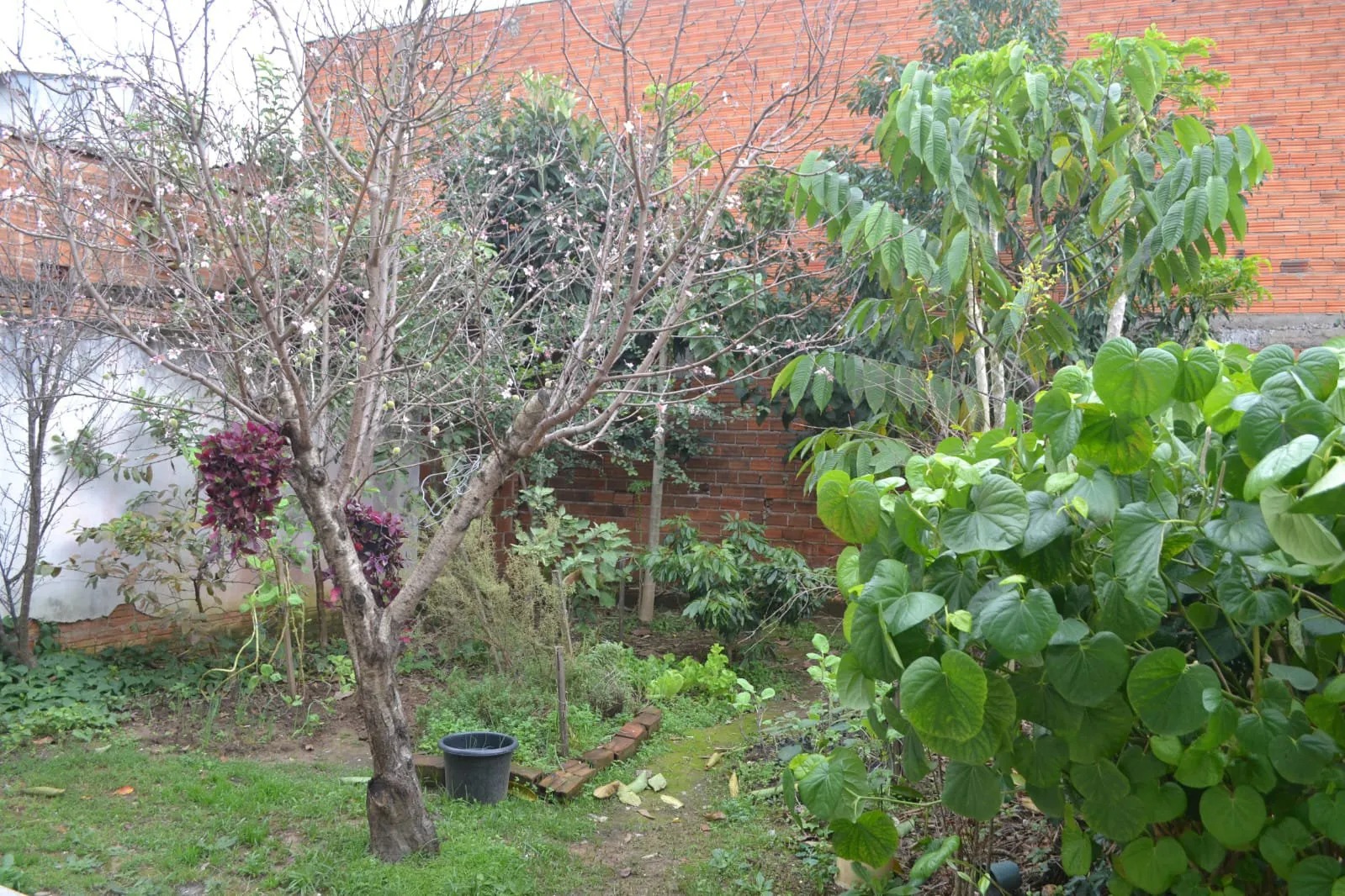 Imagem Casa espaçosa à venda em Alvorada